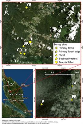 Predation on Multiple Prey Types Across a Disturbance Gradient in Tropical Montane Forests of Peninsular Malaysia